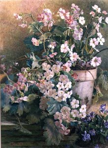 Study of Primroses, 1873