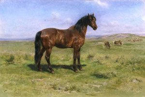 Wild Horses 1889