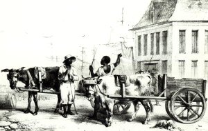 Negro Boys with bullock carts, from 'Voyage a Surinam' 1834